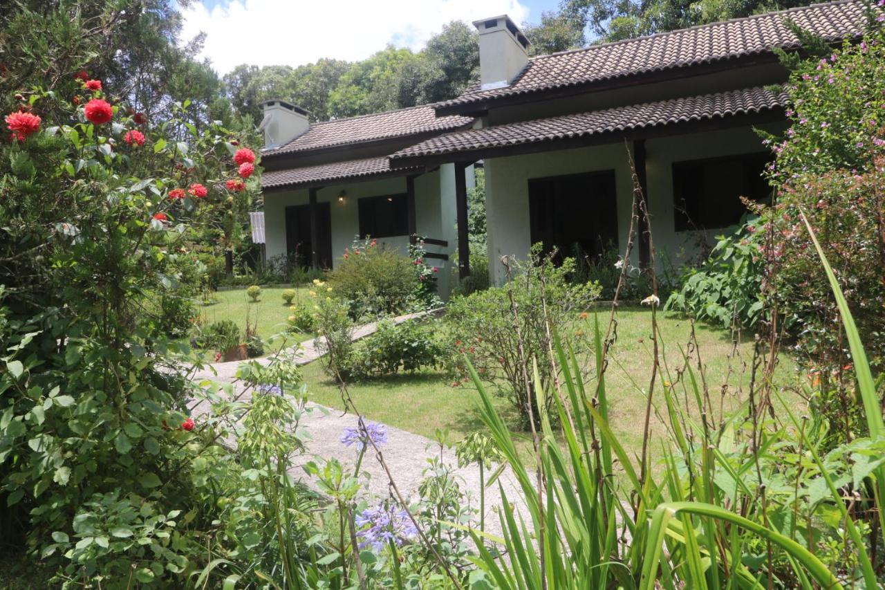Inn Medeiros *